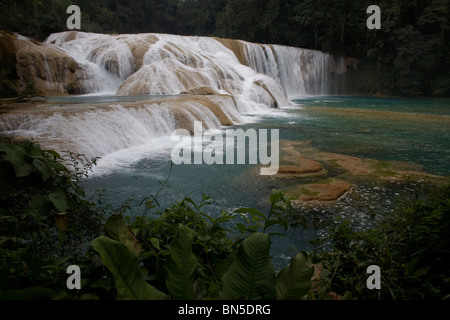 Agua Azul Wasserfälle in Tumbala, Chiapas, Mexiko, 20. Februar 2010. Stockfoto