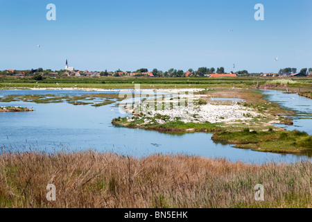 De Petten; mit Den Hoorn jenseits; Texel; Niederlande Stockfoto