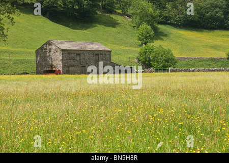 Scheune und Heu Wiese im oberen Swaledale, Yorkshire Dales, UK Stockfoto