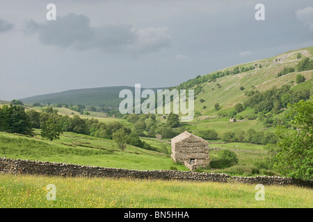 Scheune und Feldern in der Nähe Thwaite im oberen Swaledale, Yorkshire Dales, UK Stockfoto