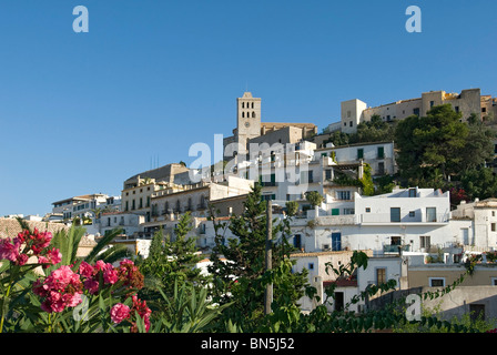 Kathedrale Ibiza Stadt, Ibiza, Balearen, Spanien Stockfoto