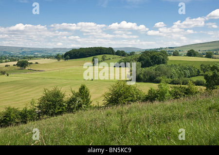 Ackerland in der Nähe von Sedbergh im oberen Eden Valley, Cumbria. Das Bild zeigt Grünland nach dem Zuschnitt für die Silage. Stockfoto