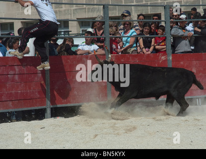 Arles, Frankreich - französische männliche Teenager Matadore in traditionellen Carmaque Stierkampf Zeremonie, Feria Stierkampf Festival. Stockfoto