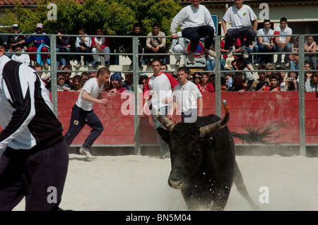 Arles, Frankreich - Französische männliche Jugendliche Matadoren in der traditionellen Carmaque Stierkampfzeremonie, Feria Bull Fighting Festival Adoleszenz Jungen kämpfen Stockfoto