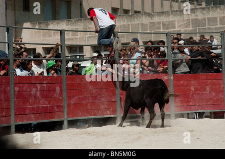 Arles, Frankreich - französische männliche Teenager Matadore in traditionellen Carmaque Stierkampf Zeremonie, Feria Stierkampf Festival. Stockfoto