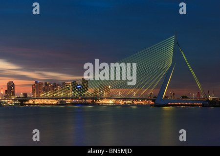 Erasmusbrücke in Rotterdam, Niederlande Stockfoto
