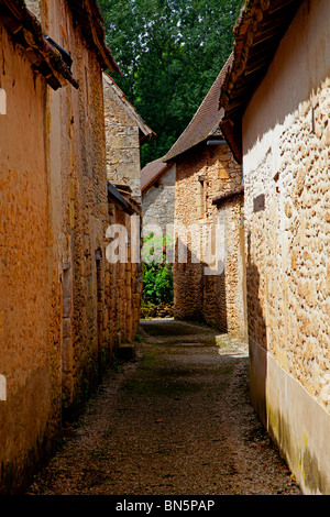 St. Leon Sur Vézère, Dordogne, Frankreich. Stockfoto