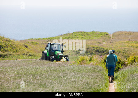 Ein Landwirt Rasenmähen für Heu in der Nähe von Porthcurno, Cornwall, UK. Stockfoto