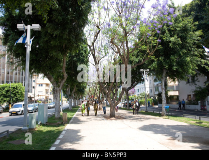 Rothschild Boulevard / Avenue in Tel Aviv - Israel Stockfoto