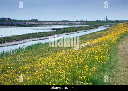 Windmühle am Krassekeet; in der Nähe von Osterend; Texel; Niederlande; Stockfoto