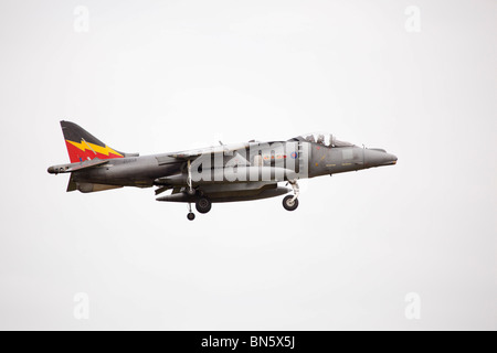 RAF Harrier GR9 von 20(R) Squadron RAF Waddington International Airshow - Ankünfte 2. Juli 2010 auf Stockfoto