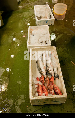 Frischer Fisch-Kisten auf dem Markt von La Boqueria in las Ramblas von Barcelona, Spanien. Stockfoto