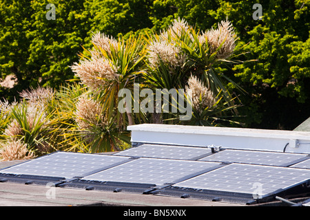 Elektrische Sonnenkollektoren auf dem Dach des britischen Grundschule, Isles of Scilly Tresco und Bryher. Stockfoto
