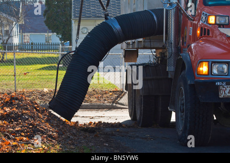 Der Pickup-Truck, der den Herbst aufnimmt, fährt am Straßenrand niemand Nahaufnahme Vorderansicht niemand waagerecht in Ohio USA USA Daily Life Foto Fotos hochauflösende Bilder Stockfoto