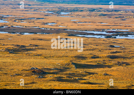 Moor-Landschaft in der Nähe von Roundstone, Connemara National Park, Connemara, Co. Galway, Irland Stockfoto