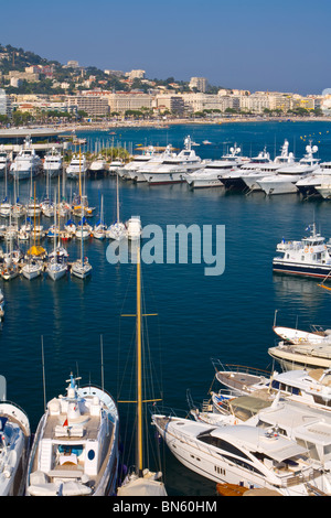 Erhöhten Blick über den alten Hafen, Vieux Port, Cannes, Provence-Alpes-Cote d ' Azur, Frankreich Stockfoto