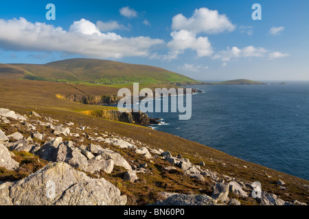 Erhöhten Blick auf dramatische Küstenlandschaft, Halbinsel Dingle, County Kerry, Munster, Irland Stockfoto