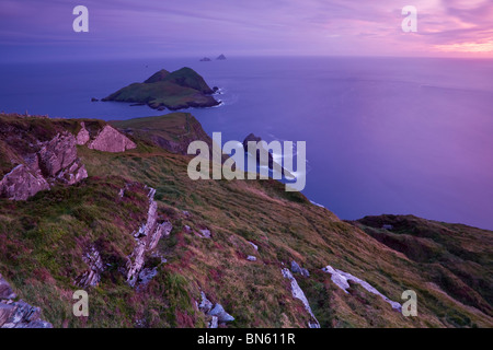 Erhöhten Blick auf die Skellig Inseln in der Abenddämmerung, County Kerry, Irland Stockfoto