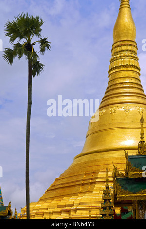 Berühmten Shwedagon-Pagode in Yangon, Myanmar Stockfoto