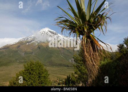 Mount Taranaki (oder Mount Egmont) Vulkan, Egmont National Park, Taranaki, Nordinsel, Neuseeland, aus Pouakai. Stockfoto