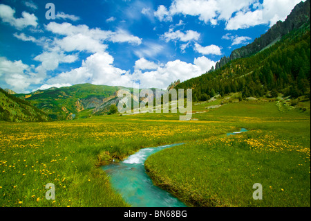 REGIONALEN PARK VON QUEYRAS, HAUTES ALPES, ALPEN, PACA, FRANKREICH Stockfoto