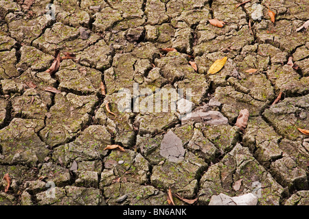Globaltemperaturanstiegbegriff von den rissigen Boden Stockfoto