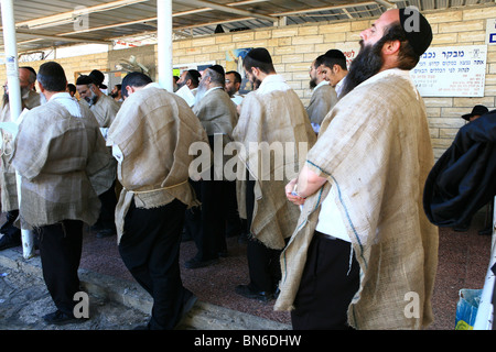 Israel, oberen Galiläa, orthodoxe Juden, Säcke tragen, als Zeichen der Trauer Stockfoto