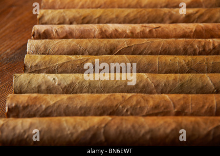 Große kubanische Cohiba Zigarren. Stockfoto