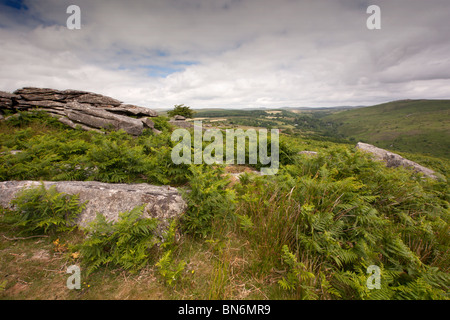 Combestone Tor Dartmoor Devon Stockfoto