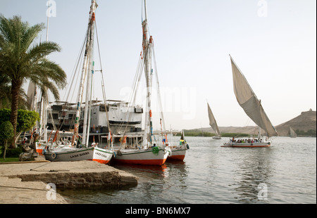 Feluken auf dem Nil bei Assuan, Oberägypten Stockfoto