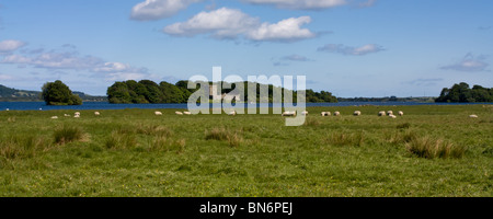 Loch Leven zwischen Kelty und Kinross nördlich von Edinburgh, Schottland. Stockfoto