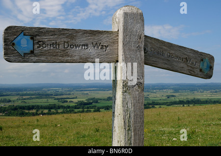 Ein Wegweiser aus Holz auf der South Downs Way in Sussex, England. Stockfoto