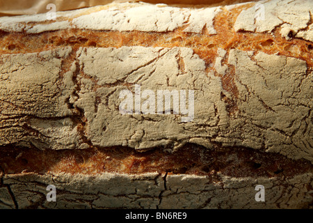 Italienisches Brot Stockfoto