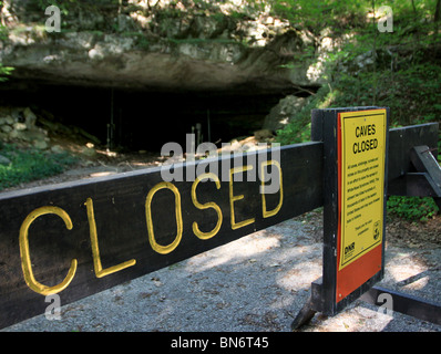 Wyandotte Höhlen geschlossen Schild zum Schutz der Fledermäuse aus weißen Nase Syndrom Pilzerkrankung Indiana Stockfoto