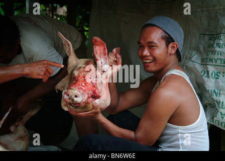 Während wichtige Feiertage in Bali ist ein Schwein geschlachtet, um Zeremonien verzehrt werden. Jeder Teil des Tieres dient. Babi Guling. Stockfoto