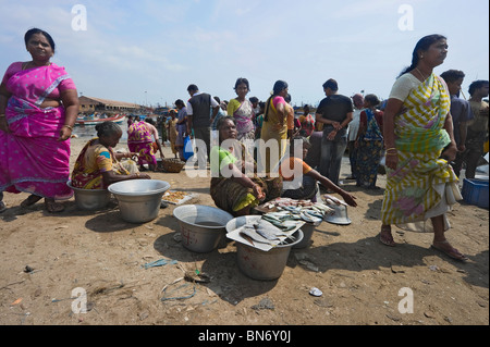 Indien-Tamil Nadu Chennai ex Madras Fischmarkt Stockfoto