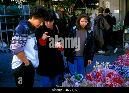 Belgier, Erwachsene Frauen, kaufen Blumen, Blumen Hersteller, MIDI-Markt, Gare du Midi, Stadt von Brüssel, Brüssel, Region Brüssel-Hauptstadt, Belgien Stockfoto