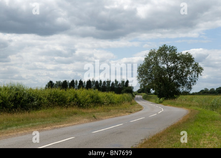 Schlacht von Bosworth Field. NEUER ORT, an dem der Krieg der Rosen, der englische Bürgerkrieg, stattfand. Alte Römerstraße, bekannt als Fenn Lanes. 2010, 2010ER, UK HOMER SYKES Stockfoto