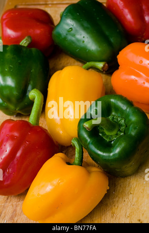 frische Paprika Stockfoto