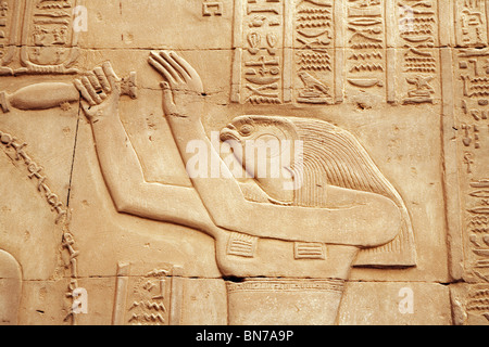 Bas-Relief Alabaster-Schnitzereien des Gottes Horus am Tempel des Horus und Sobek, Kom Ombo, Oberägypten Stockfoto