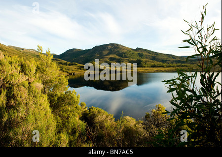 Panorama der neuen Lake Pedder Tasmanien Stockfoto