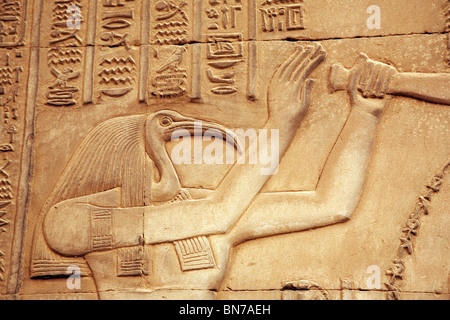 Bas Relief Alabaster Schnitzerei des gottes Thoth, gott der Schrift und Weisheit, der Tempel von Horus und Sobek, Kom Ombo, Oberägypten, Afrika Stockfoto