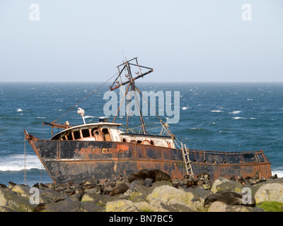 Blick auf einem gestrandeten Fischerboot in der Nähe eine nördliche Seebär Brutkolonie, St. Paul Island, Alaska, Sommer Stockfoto