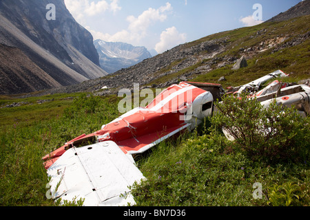 Flugzeugabsturz und Trümmer am Merrill Pass im Sommer in Alaska Stockfoto