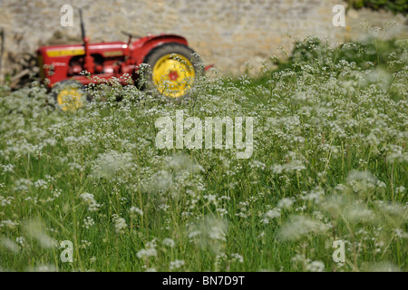 Traktor in blumigen Feld Stockfoto