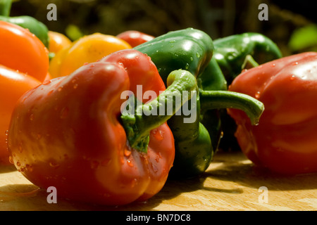 süße Paprika Paprika hautnah Stockfoto