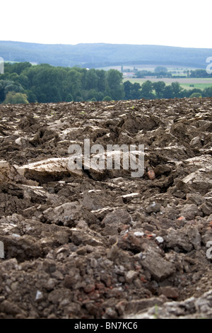 Sommer Im Deister - Felder im Sommer in Deutschland Stockfoto