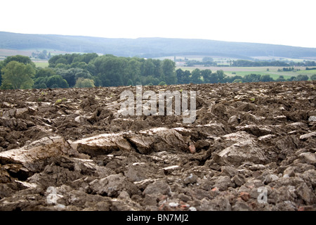 Sommer Im Deister - Felder im Sommer in Deutschland Stockfoto