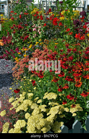 Ferienhaus-Grenze mit bunten Sommer Pflanzen Stockfoto