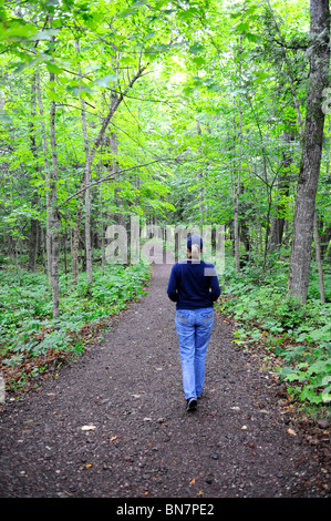 Ottawa Nationalwald obere Halbinsel Michigan Stockfoto